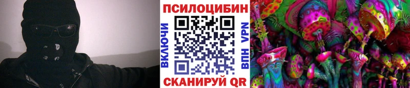 кракен онион  Зеленоградск  Галлюциногенные грибы мицелий 
